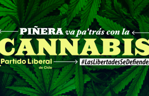 Partido Liberal lanza campaña pro libertades civiles y advierte retroceso conservador con Piñera