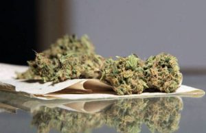 (Archivo) Legalicemos la marihuana