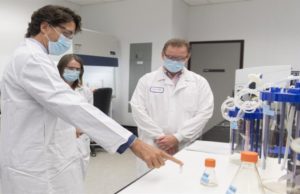 Canadá tiene aseguradas 190 millones de vacunas contra la COVID-19, dice Trudeau