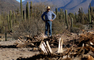 ONU a Chile: Los derechos al agua y la salud deben estar por encima de los intereses económicos